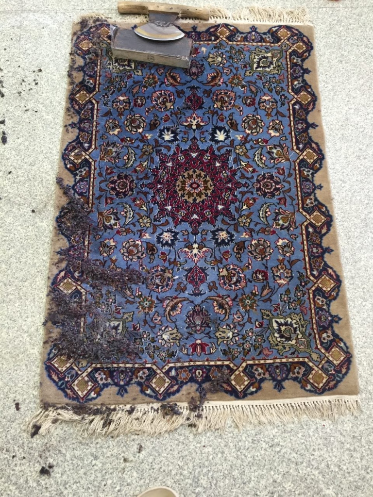 Hand scraper shearing tool on blue rug