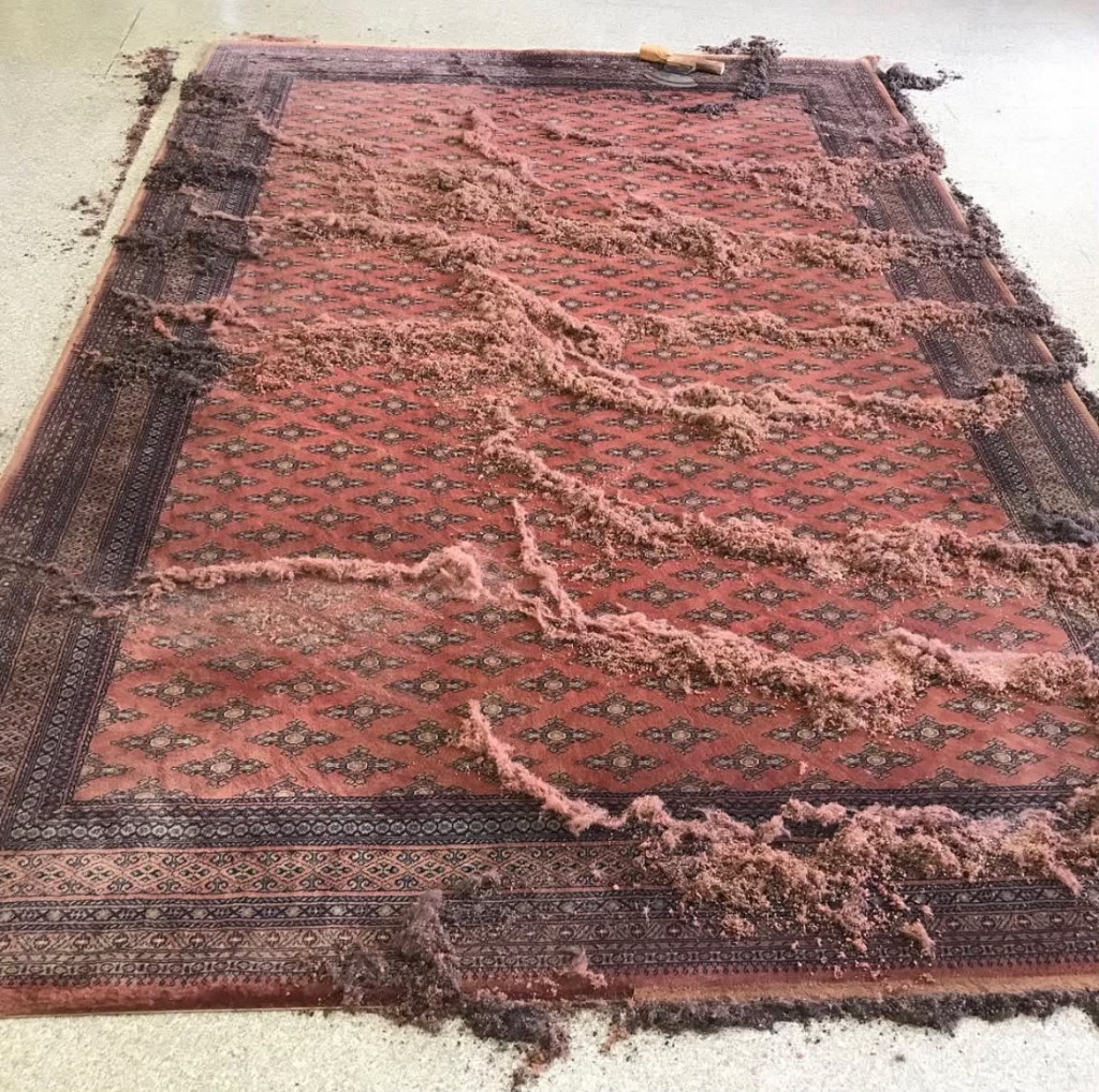 Shearing Shavings Grid on Atelier Floor